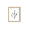 Picture of Whimsy Botanical I  _GroupedProduct_Rectangle_Portrait_Framed_Matted_