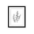 Picture of Whimsy Botanical I  _GroupedProduct_Rectangle_Portrait_Framed_Matted_