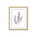 Picture of Whimsy Botanical I  _GroupedProduct_Rectangle_Portrait_Framed_Matted_