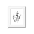 Picture of Whimsy Botanical I  _GroupedProduct_Rectangle_Portrait_Framed_Matted_