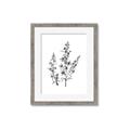 Picture of Whimsy Botanical I  _GroupedProduct_Rectangle_Portrait_Framed_Matted_