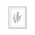 Picture of Whimsy Botanical I  _GroupedProduct_Rectangle_Portrait_Framed_Matted_