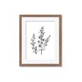 Picture of Whimsy Botanical I  _GroupedProduct_Rectangle_Portrait_Framed_Matted_
