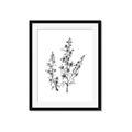 Picture of Whimsy Botanical I  _GroupedProduct_Rectangle_Portrait_Framed_Matted_