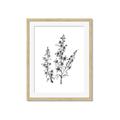 Picture of Whimsy Botanical I  _GroupedProduct_Rectangle_Portrait_Framed_Matted_