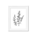 Picture of Whimsy Botanical I  _GroupedProduct_Rectangle_Portrait_Framed_Matted_