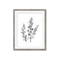 Picture of Whimsy Botanical I  _GroupedProduct_Rectangle_Portrait_Framed_Matted_