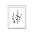Picture of Whimsy Botanical I  _GroupedProduct_Rectangle_Portrait_Framed_Matted_