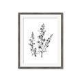 Picture of Whimsy Botanical I  _GroupedProduct_Rectangle_Portrait_Framed_Matted_