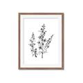 Picture of Whimsy Botanical I  _GroupedProduct_Rectangle_Portrait_Framed_Matted_