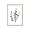 Picture of Whimsy Botanical I  _GroupedProduct_Rectangle_Portrait_Framed_Matted_