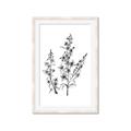 Picture of Whimsy Botanical I  _GroupedProduct_Rectangle_Portrait_Framed_Matted_