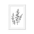 Picture of Whimsy Botanical I  _GroupedProduct_Rectangle_Portrait_Framed_Matted_