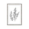 Picture of Whimsy Botanical I  _GroupedProduct_Rectangle_Portrait_Framed_Matted_