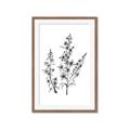 Picture of Whimsy Botanical I  _GroupedProduct_Rectangle_Portrait_Framed_Matted_