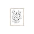 Picture of Whimsy Botanical II  _GroupedProduct_Rectangle_Portrait_Framed_Matted_