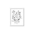 Picture of Whimsy Botanical II  _GroupedProduct_Rectangle_Portrait_Framed_Matted_