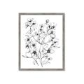 Picture of Whimsy Botanical II  _GroupedProduct_Rectangle_Portrait_Framed_Matted_