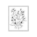 Picture of Whimsy Botanical II  _GroupedProduct_Rectangle_Portrait_Framed_Matted_