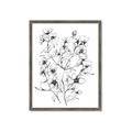 Picture of Whimsy Botanical II  _GroupedProduct_Rectangle_Portrait_Framed_Matted_