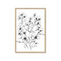 Picture of Whimsy Botanical II  _GroupedProduct_Rectangle_Portrait_Framed_Matted_