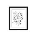 Picture of Whimsy Botanical II  _GroupedProduct_Rectangle_Portrait_Framed_Matted_