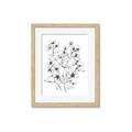 Picture of Whimsy Botanical II  _GroupedProduct_Rectangle_Portrait_Framed_Matted_