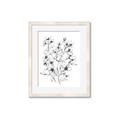 Picture of Whimsy Botanical II  _GroupedProduct_Rectangle_Portrait_Framed_Matted_