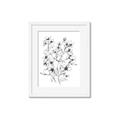 Picture of Whimsy Botanical II  _GroupedProduct_Rectangle_Portrait_Framed_Matted_