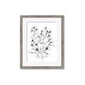 Picture of Whimsy Botanical II  _GroupedProduct_Rectangle_Portrait_Framed_Matted_