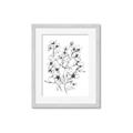Picture of Whimsy Botanical II  _GroupedProduct_Rectangle_Portrait_Framed_Matted_