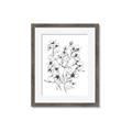 Picture of Whimsy Botanical II  _GroupedProduct_Rectangle_Portrait_Framed_Matted_