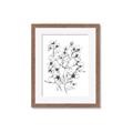 Picture of Whimsy Botanical II  _GroupedProduct_Rectangle_Portrait_Framed_Matted_