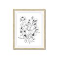 Picture of Whimsy Botanical II  _GroupedProduct_Rectangle_Portrait_Framed_Matted_