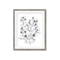 Picture of Whimsy Botanical II  _GroupedProduct_Rectangle_Portrait_Framed_Matted_