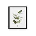 Picture of Green Leaves I  _GroupedProduct_Rectangle_Portrait_Framed_Matted_