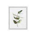 Picture of Green Leaves I  _GroupedProduct_Rectangle_Portrait_Framed_Matted_