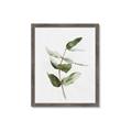 Picture of Green Leaves I  _GroupedProduct_Rectangle_Portrait_Framed_Matted_