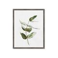Picture of Green Leaves I  _GroupedProduct_Rectangle_Portrait_Framed_Matted_