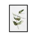 Picture of Green Leaves I  _GroupedProduct_Rectangle_Portrait_Framed_Matted_