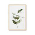 Picture of Green Leaves I  _GroupedProduct_Rectangle_Portrait_Framed_Matted_