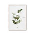 Picture of Green Leaves I  _GroupedProduct_Rectangle_Portrait_Framed_Matted_