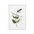 Picture of Green Leaves I  _GroupedProduct_Rectangle_Portrait_Framed_Matted_
