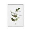 Picture of Green Leaves I  _GroupedProduct_Rectangle_Portrait_Framed_Matted_