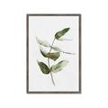 Picture of Green Leaves I  _GroupedProduct_Rectangle_Portrait_Framed_Matted_