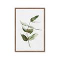 Picture of Green Leaves I  _GroupedProduct_Rectangle_Portrait_Framed_Matted_
