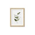 Picture of Green Leaves I  _GroupedProduct_Rectangle_Portrait_Framed_Matted_