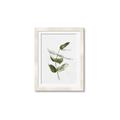 Picture of Green Leaves I  _GroupedProduct_Rectangle_Portrait_Framed_Matted_