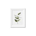 Picture of Green Leaves I  _GroupedProduct_Rectangle_Portrait_Framed_Matted_