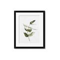 Picture of Green Leaves I  _GroupedProduct_Rectangle_Portrait_Framed_Matted_